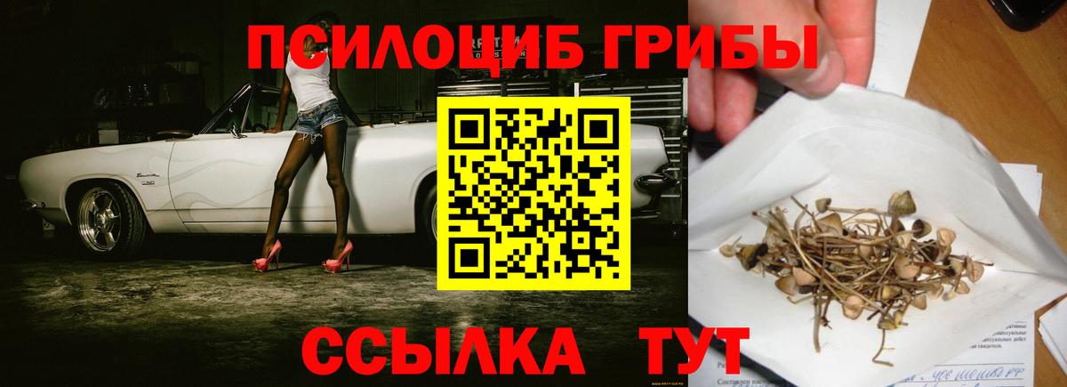 где найти наркотики  Вход с VPN  Рассказово  Галлюциногенные грибы прущие грибы  Псилоцибиновые грибы мухоморы 