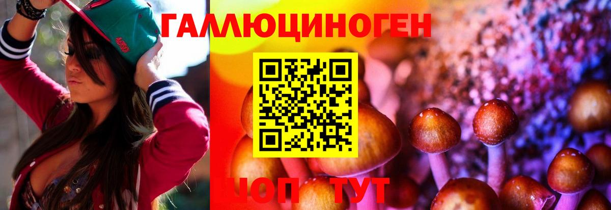 Галлюциногенные грибы ЛСД Рассказово