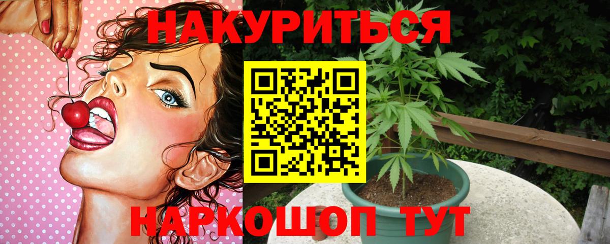 Каннабис сатива  Вход с VPN  Бошки марихуана конопля  Рассказово  Каннабис Amnesia 